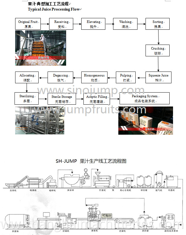 Pineapple Orange Fresh Fruit Juice Concentrate Making Machine